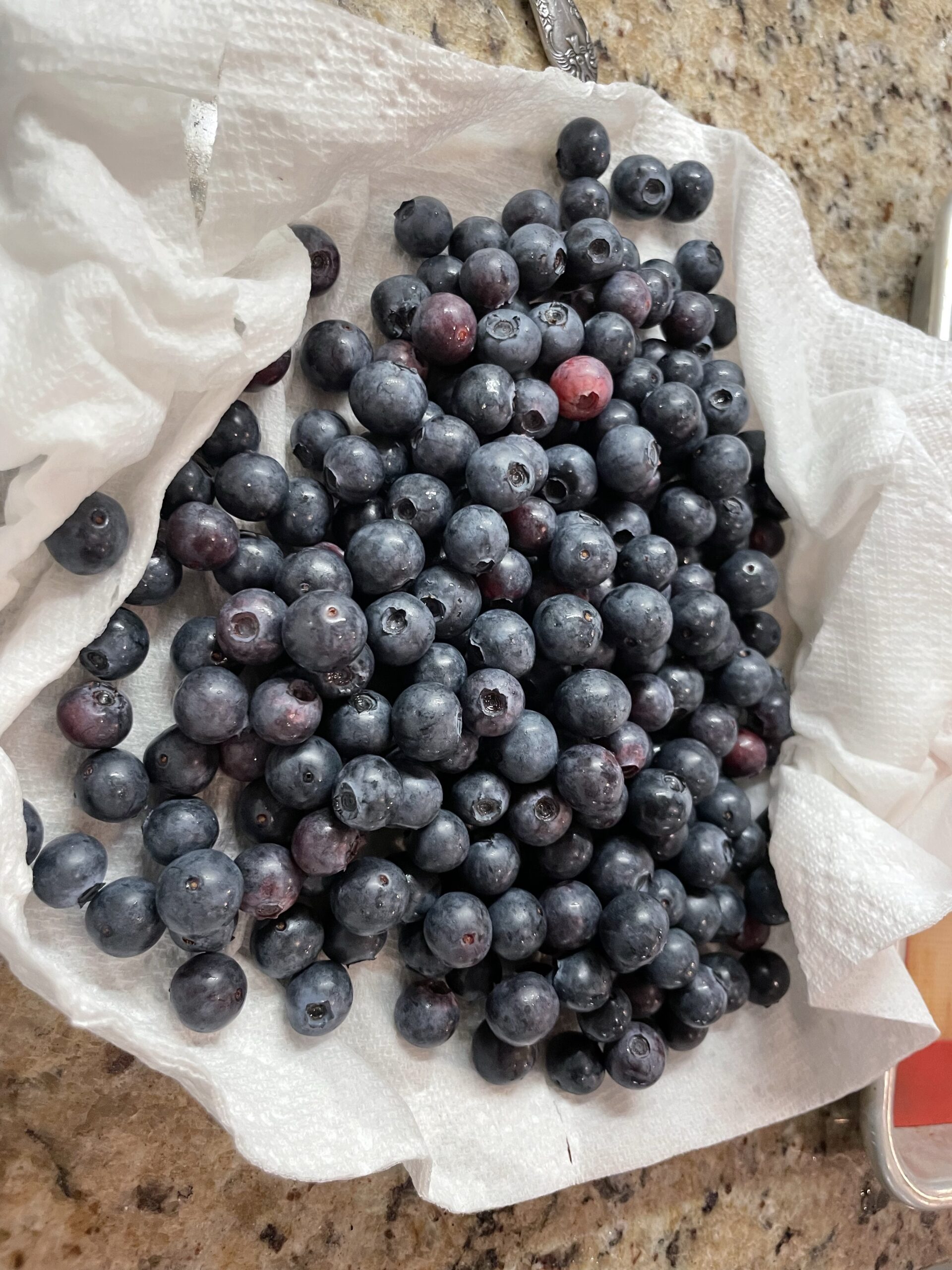 Blueberry Crisp – A Delicious Summer Dessert